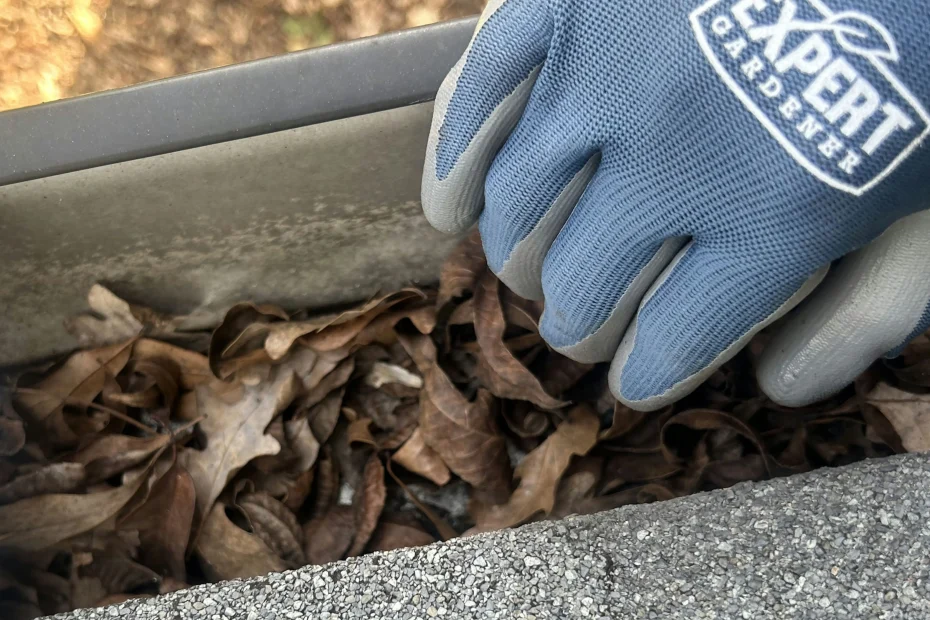 Jenkins Township Gutter Cleaning