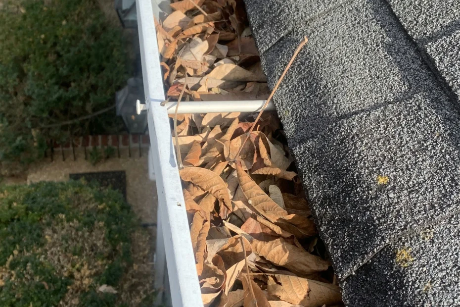 Jenkins Township Gutter Cleaning