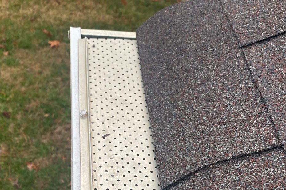 Jenkins Township Gutter Cleaning